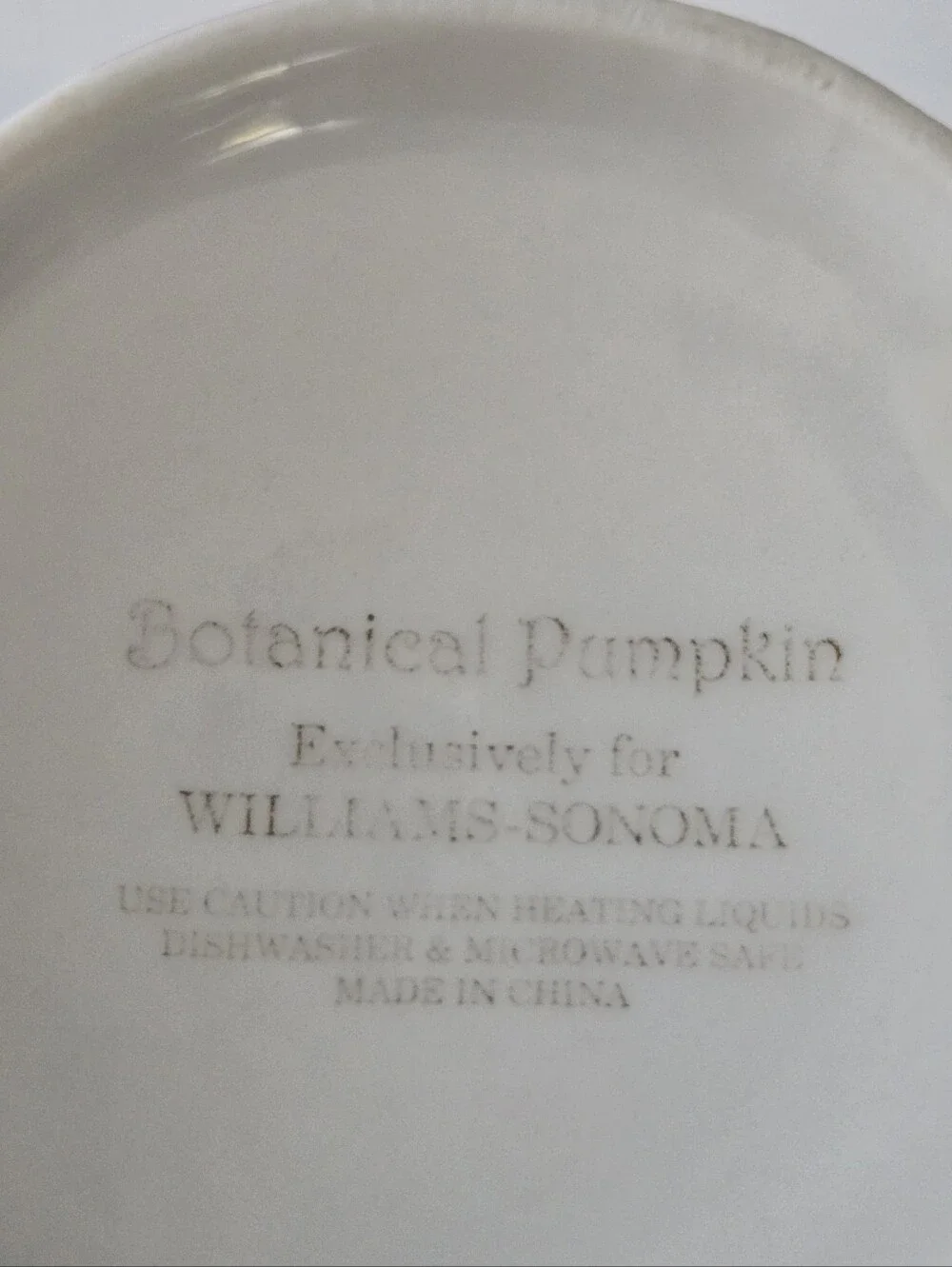 Williams Sonoma Botanical Pumpkin Coffee Mug Fall Harvest Autumn Ceramic Cup